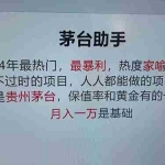 (12990期)魔法贵州茅台代理,永不淘汰的项目,抛开传统玩法,使用科技,命中率极…