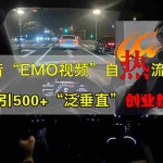 (13029期)抖音EMO视频自热打法,日引500+“泛垂直”创业粉
