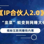 (13030期)2024如何通过”知识付费“卖项目年入”百万“卖项目合伙人IP孵化训练营