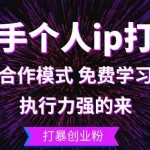(13023期)快手个人ip打造:执行力强的来 打暴创业粉