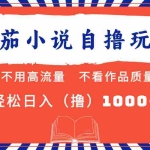 (13014期)番茄小说最新自撸 不看流量 不看质量 轻松日入1000+