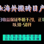 （13079期）tiktok海外搬砖项目单机日产过千当天做当天见收益