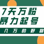 (13047期)3-7天万粉,快手暴力起号,多种变现方式,新手小白秒上手,单月变现几…