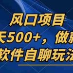 (13087期)一天500+,只要做就有,软件自聊玩法