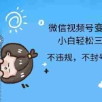 (13115期)2024最新微信视频号变现项目,小白轻松月入四位数