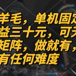 （13162期）薅羊毛项目，单机三十元，做就有，可无限矩阵 无任何难度