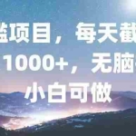 (13160期)0门槛项目,每天截截图,日入1000+,轻松无脑,小白可做