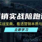 (13146期)营销实战陪跑课:中小企业实战宝典,看透营销本质与引流方法论