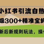 (13145期)最新小红书引流自热打法,轻松日吸300+精准宝妈创业粉,小红书更新后新…