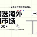 (13191期)海外全新空白市场,小白也可轻松上手,年底最后红利