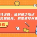 (13184期)暴力起号特训营:拆解模仿测试,打造易爆流量模板,积累账号权重