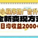 (13186期)微信小程序撸广告升级版,全新变现方式,日均收益2000+