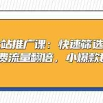 (13184期)淘宝全站推广课:快速筛选优质款,7天免费流量翻倍,小爆款群策略