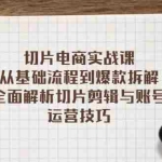 (13179期)切片电商实战课:从基础流程到爆款拆解,全面解析切片剪辑与账号运营技巧