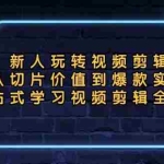 (13178期)新人玩转视频剪辑:从切片价值到爆款实操,一站式学习视频剪辑全流程