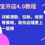 (13202期)淘宝开店4.0教程,详解测款、拉新、收割等策略,助你店铺更上一层楼