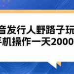 (13220期)抖音发行人野路子玩法,手机操作一天2000+
