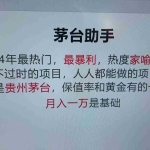 (13217期)魔法贵州茅台代理,永不淘汰的项目,抛开传统玩法,使用科技,命中率极…