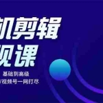 (13231期)手机剪辑变现课:小白轻松上手,基础到高级 影视号/书单号/视频号一网打尽