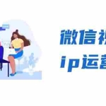 (13228期)微信视频号ip运营班:特邀分享+CEO直播+精英分享,揭秘视频号变现秘诀