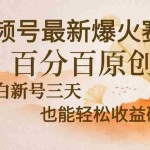 (13225期)视频号最新爆火赛道,中老年粉深信不疑,百分百原创,新号三天收益轻松…