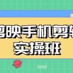 (13264期)剪映手机剪辑实战班,从入门到精通,抖音爆款视频制作秘籍分段讲解