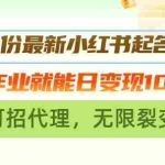 (13256期)11月份最新小红书起名项目,抄作业就能日变现1000+,可招代理,无限裂变