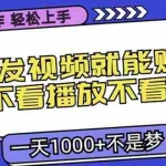 (13283期)无脑操作,只要发视频就能赚钱?不看播放不看粉丝,小白轻松上手,一天…