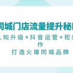 (13280期)同城门店流量提升秘籍:认知升级+抖音运营+视频制作,打造火爆同城品牌