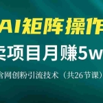 (13335期)网创IP打造课,借助AI卖项目月赚5万+,含引流技术(共26节课)