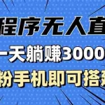 (13326期)抖音小程序无人直播,一天躺赚3000+,0粉手机可搭建,不违规不限流,小…