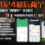 (13322期)2024最后两个月如何通过”创业IP“卖项目年入”百万“,创业IP+最强引流…