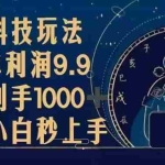 (13313期)黑科技玩法,一单利润9.9,一天到手1000+,新手小白秒上手