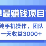 (13308期)简单有手机就能做的项目,收益可观