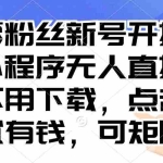 (13302期)零粉丝新号开播 小程序无人直播,不用下载点击就有钱可矩阵