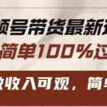 （13337期）视频号带货最新玩法，操作简单100%过原创，新手可做收入可观，简单稳定！