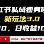 (13348期)小红书瘦身项目3.0模式,新手小白日赚收益1000+(附从一名客户裂变收益…
