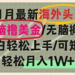 (13390期)海外头条,无脑搬运撸美金,小白轻松上手,可矩阵操作,轻松月入1W+