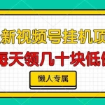 (13452期)视频号挂机项目,每天几十块低保,懒人专属