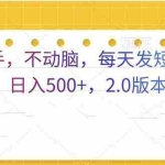 (13446期)只动手,不动脑,每天发发视频日入500+  2.0版本