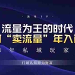 (13433期)未来如何通过“卖流量”年入百万,跨越一切周期绝对蓝海项目