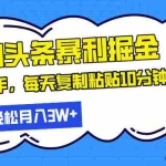 (13432期)最新头条暴利掘金,AI辅助,轻松矩阵,每天复制粘贴10分钟,轻松月入30…
