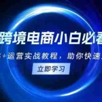 (13502期)跨境电商小白必看!独立站建站+运营实战教程,助你快速入门并精通
