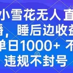 (13491期)小雪花无人直播 睡后收益单日1000+ 零粉丝新号开播 不违规 看完就会