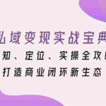 (13483期)私域变现实战宝典:认知、定位、实操全攻略,打造商业闭环新生态
