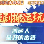 (13470期)一条作品狂赚10000+,黑科技纯搬,爆流爆粉嘎嘎猛,有手就能干!