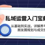 (13519期)私域运营入门宝典:从基础到实战,详解养号、标签、朋友圈规划与成交技巧