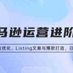 (13517期)亚马逊运营进阶课:掌握广告优化、Listing文案与爆款打造,日销出千单