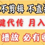 (13555期)不剪辑不直播,一键代发,月入5万懒人必备,我出视频你来发