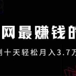 (13591期)年前风口最大化,长久可以做!